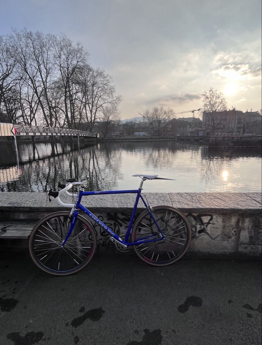Checker Pig Velos: Checker Pig CPXR06 XL – Gebraucht aus Zürich von nic_8t8x 1