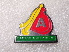 Ansteckpin 10: Canton d allanche
