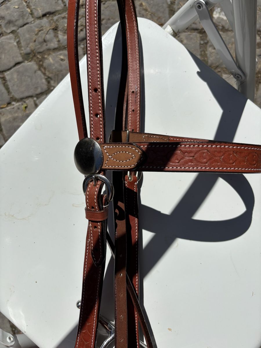 Zaumzeug & Halfter: Zaum – Gebraucht aus St. Gallen von may_8fbd 1