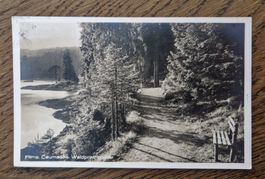 Flims Caumasee Waldpromenade 1927