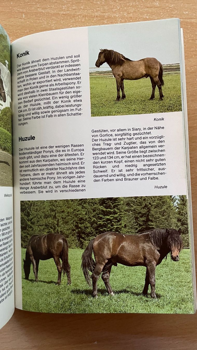 Libri: Pferde und Ponys – Usato da Glattfelden venduto da markweb 7