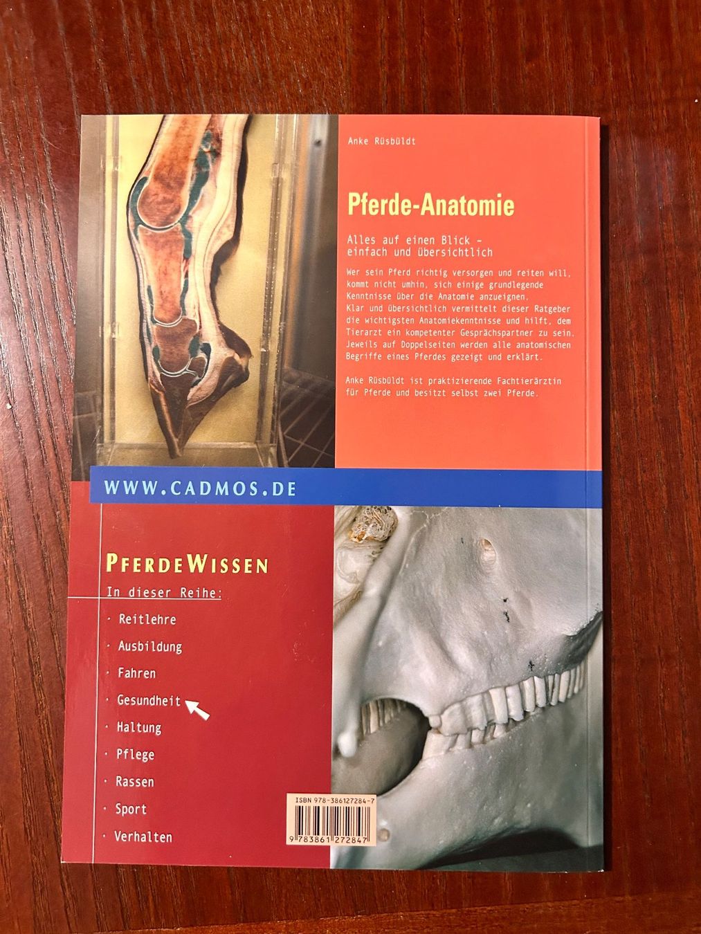 Libri: Pferde-Anatomie von Anke Rüsbüldt – Usato da Benglen venduto da silversun79 1