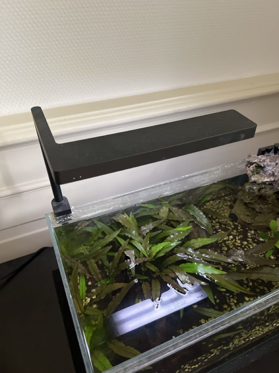 Acquari: Kleines Aquarium ADA  – Usato da Zürich venduto da Leoleiin 1