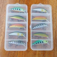 Lot de 10 leurres de pêche pour petit carnassier 