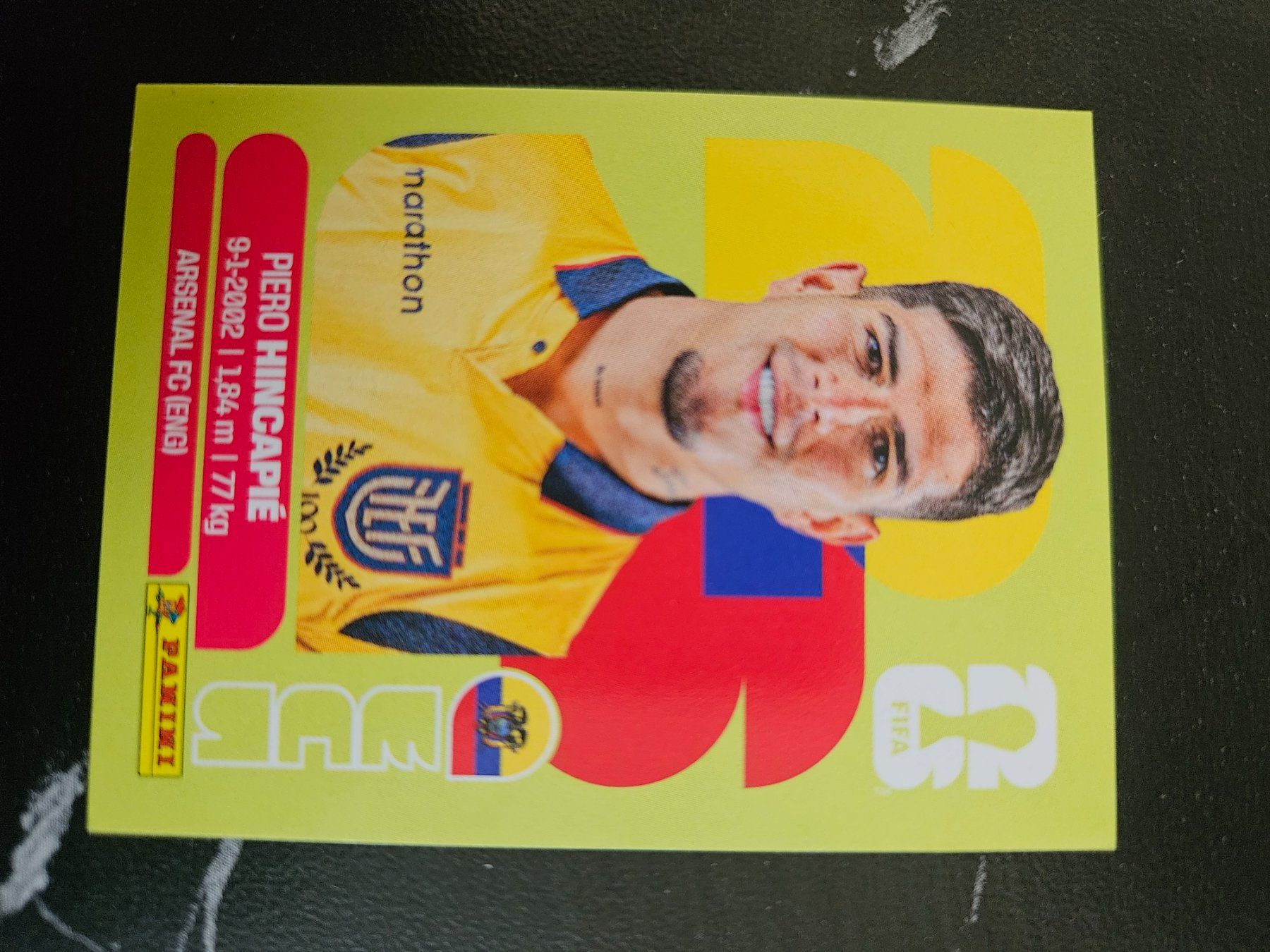 Panini Cartes à collectionner: ECU4 – D'occasion à Würenlingen par Dinli
