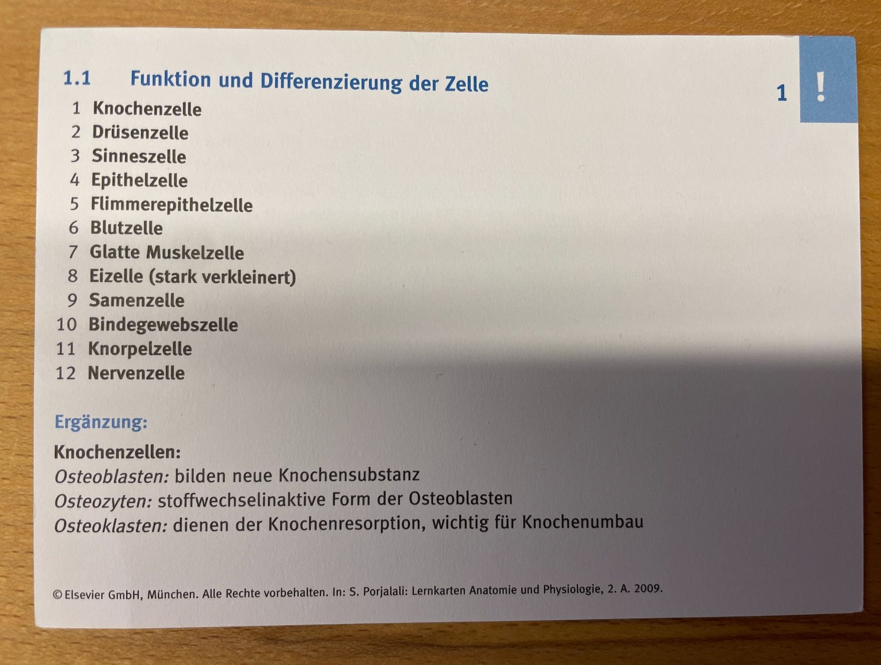 Altro in Decorazioni & Accessori: Anatomie-Lernkarten Set im handlichen A6- Schuber – Usato da Zürich venduto da Heinrich010 4