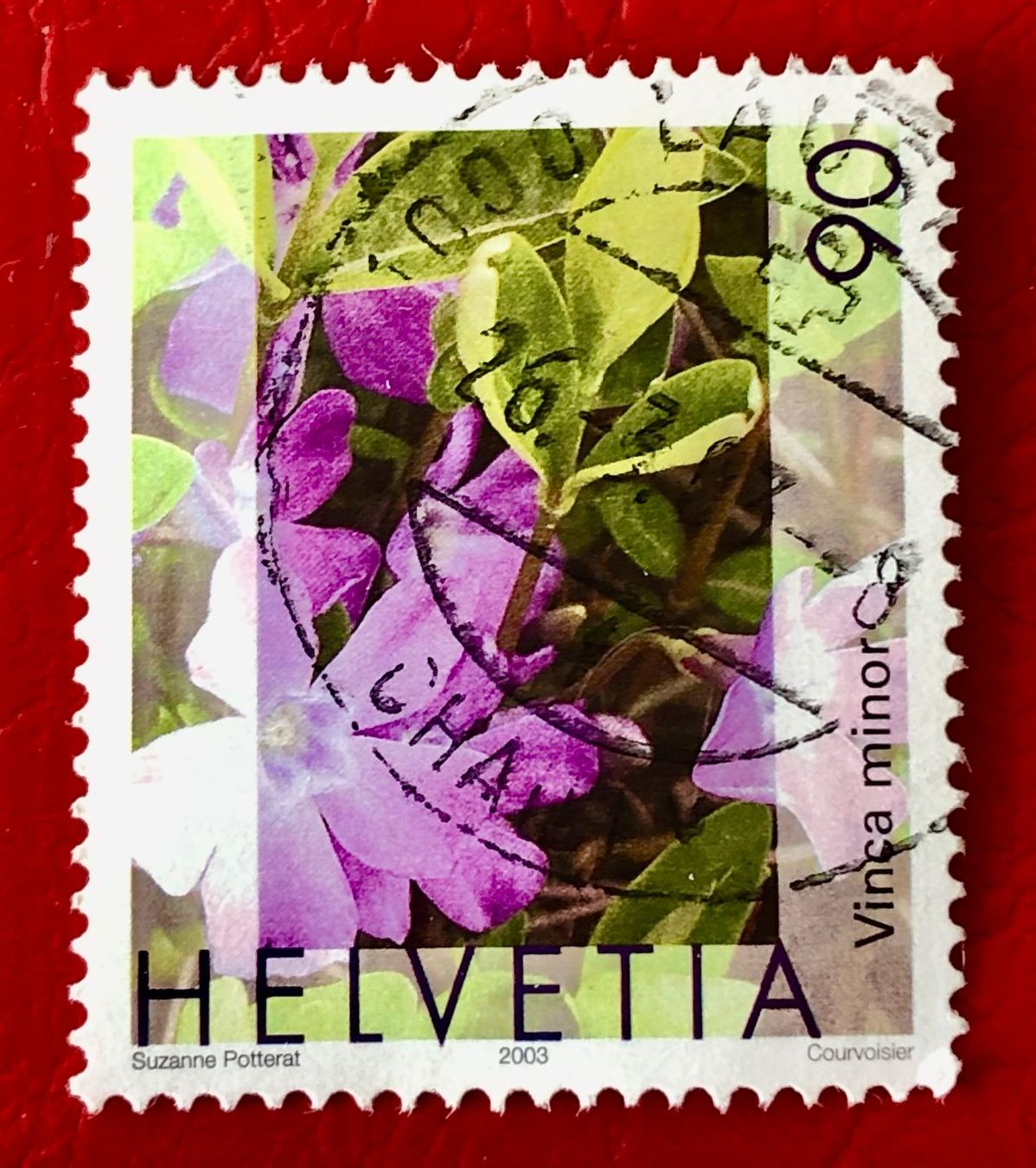 Tutti i francobolli: Nr.1074 Gemeines Flora,Immmergrün GESTEMPELT 2003     – Usato da Aarau venduto da Billa007