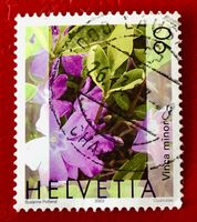 Nr.1074 Gemeines Flora,Immmergrün GESTEMPELT 2003    