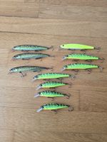 10x Illex Wobbler Spinnfischen Hecht Angeln See Pike Fishing