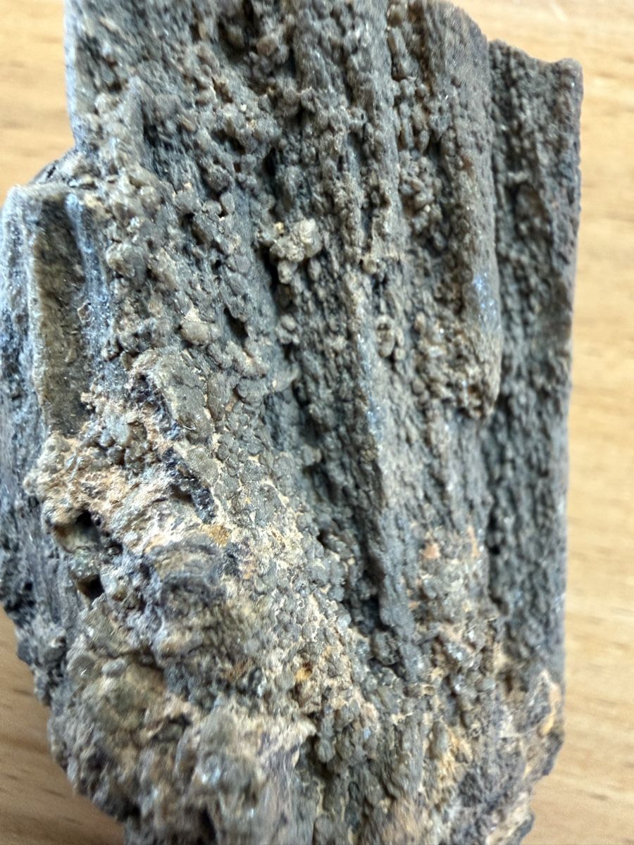 Fossili: Versteinertes Holz – Usato da Grenchen venduto da Bastet007 7