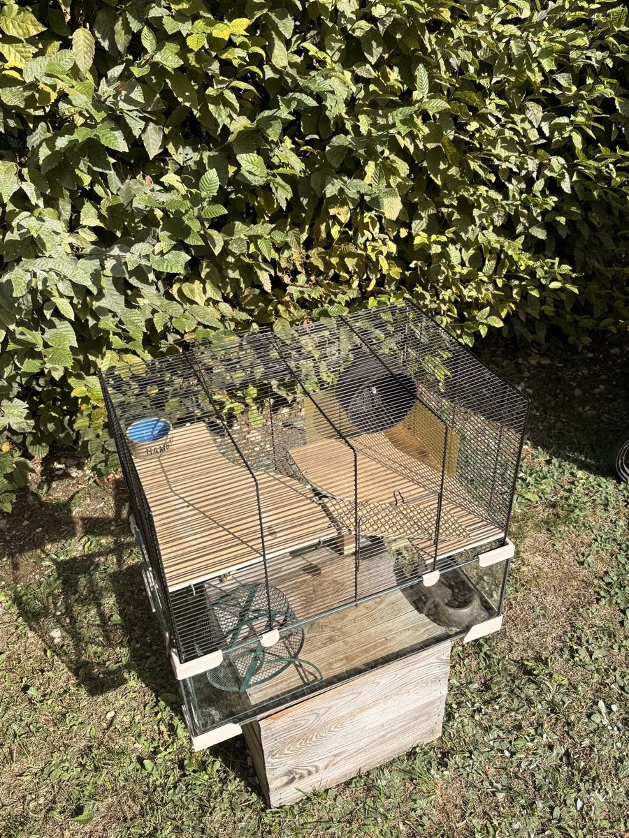 Gabbie, trasporto & Sicurezza: Cage pour rongeur avec accessoires – Usato da Fleurier venduto da Joey.prl14 3
