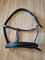 Showmaster Leder Halfter Pony