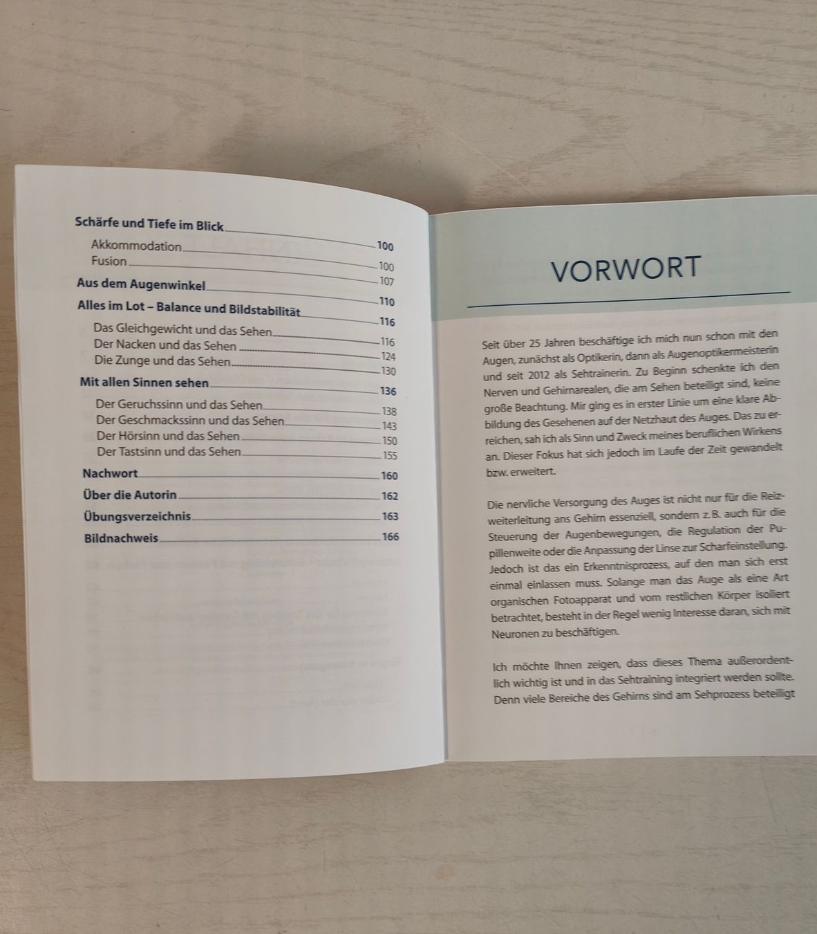Libri: Neuronales Sehtraining, Caroline Ebert neuwertig, Schirner – Usato da Hemishofen venduto da Lany 3