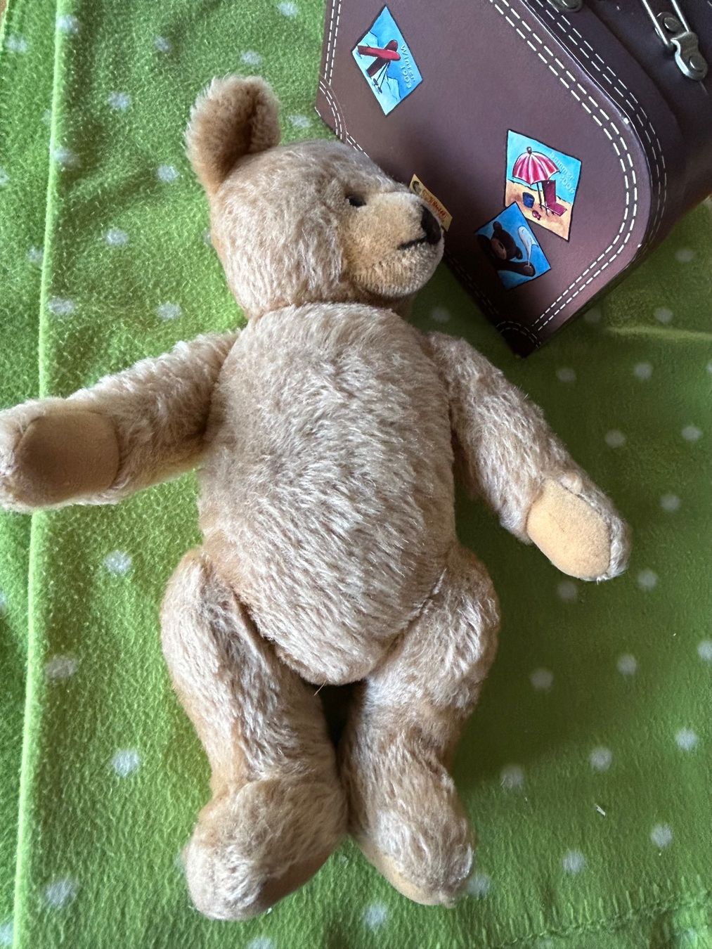 Steiff Giocattoli: Steiff Teddy mit Koffer – Usato da burgdorf venduto da baenzlicat 1