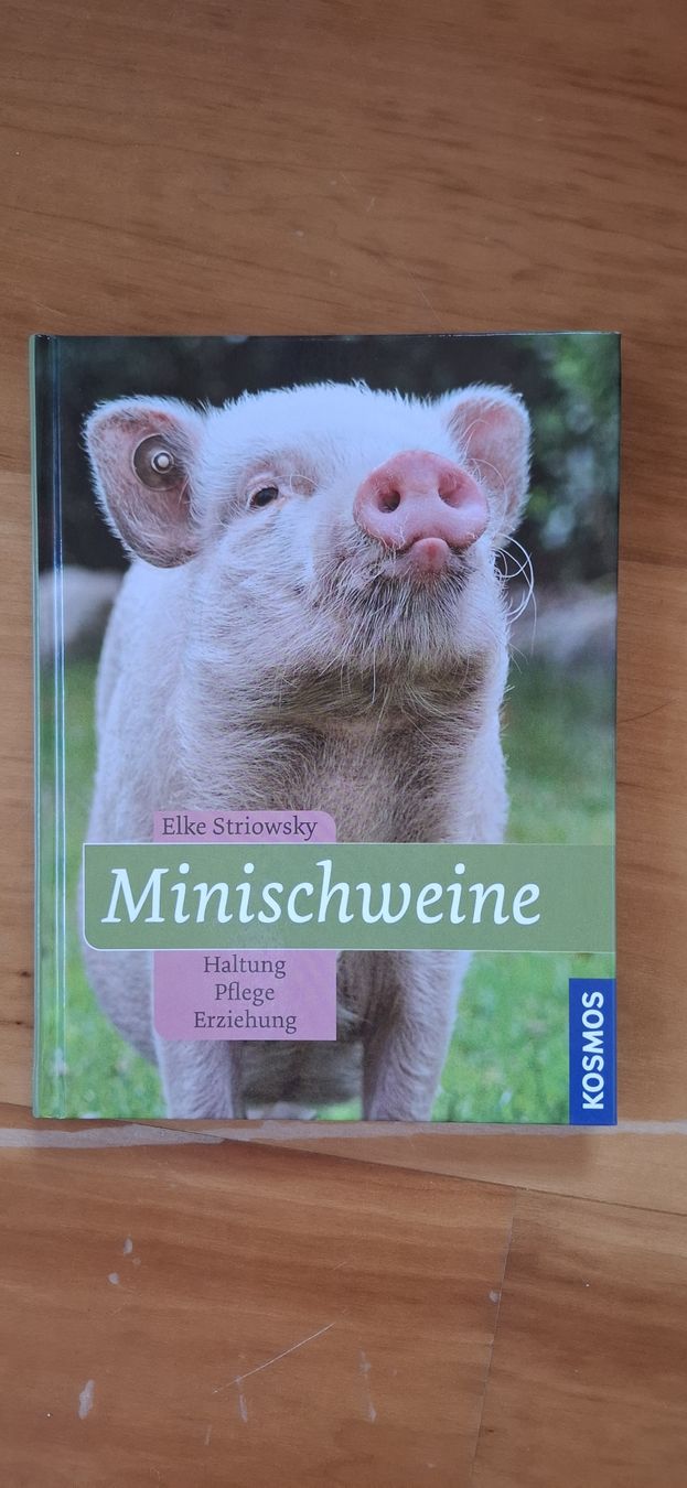 Libri: Buch: Minischweine – Nuovo e nell'imballaggio originale da Wuppenau venduto da Jaqueline
