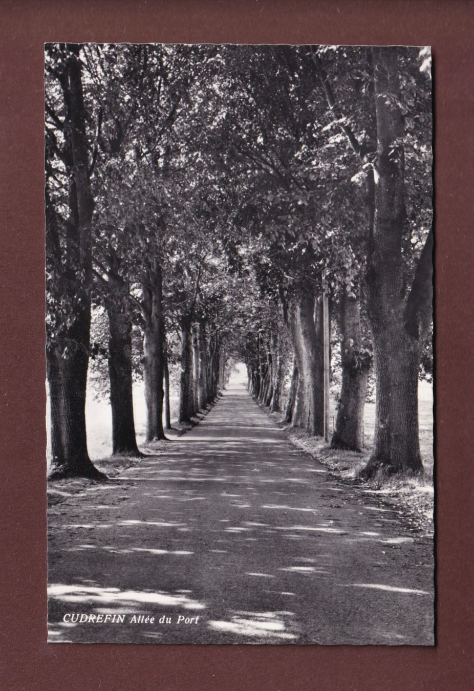 Cartoline postali: CUDREFIN - Allée du Port - 1963 – Usato da Pully venduto da nicecards-shop