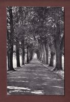 CUDREFIN - Allée du Port - 1963