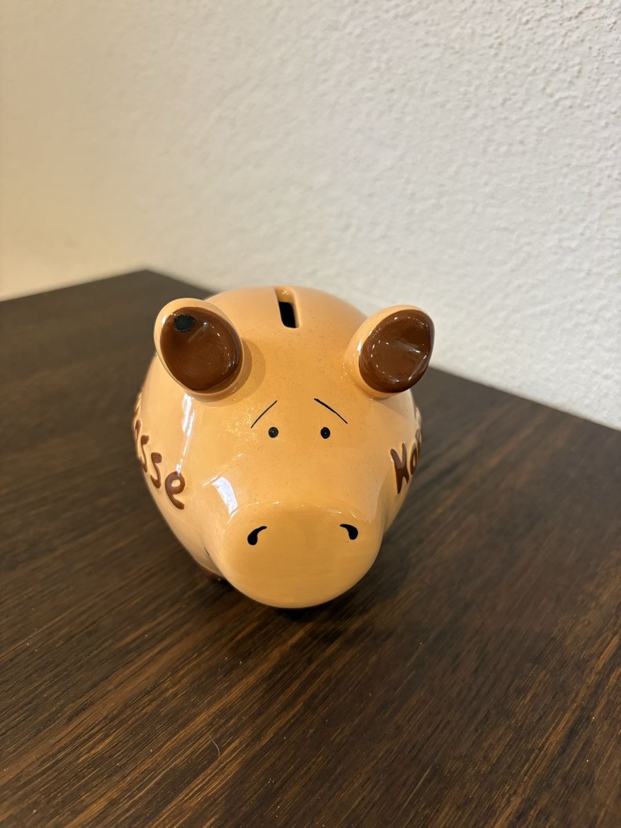 Salvadanai: Sparschwein – Usato da Bäretswil venduto da Coco83 1