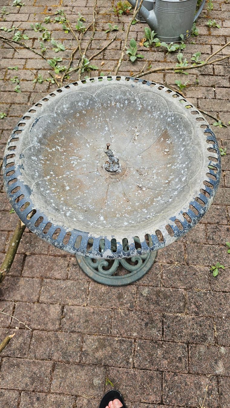 Stagni & Fontane ornamentali: Vogeltränke aus Stahl – Usato da Zürich venduto da cla_76ww 2