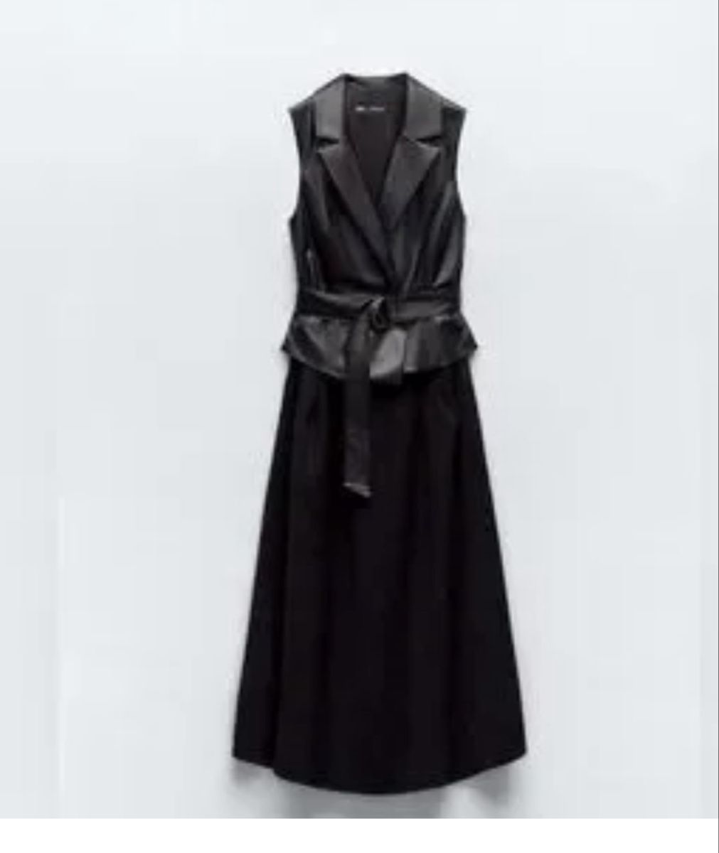 Zara Vestiti: Zara Dress – Nuovo e nell'imballaggio originale da Opfikon venduto da aro_f66t
