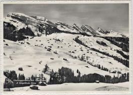 SG 182 Skigelände ILTIOS 1952 GF