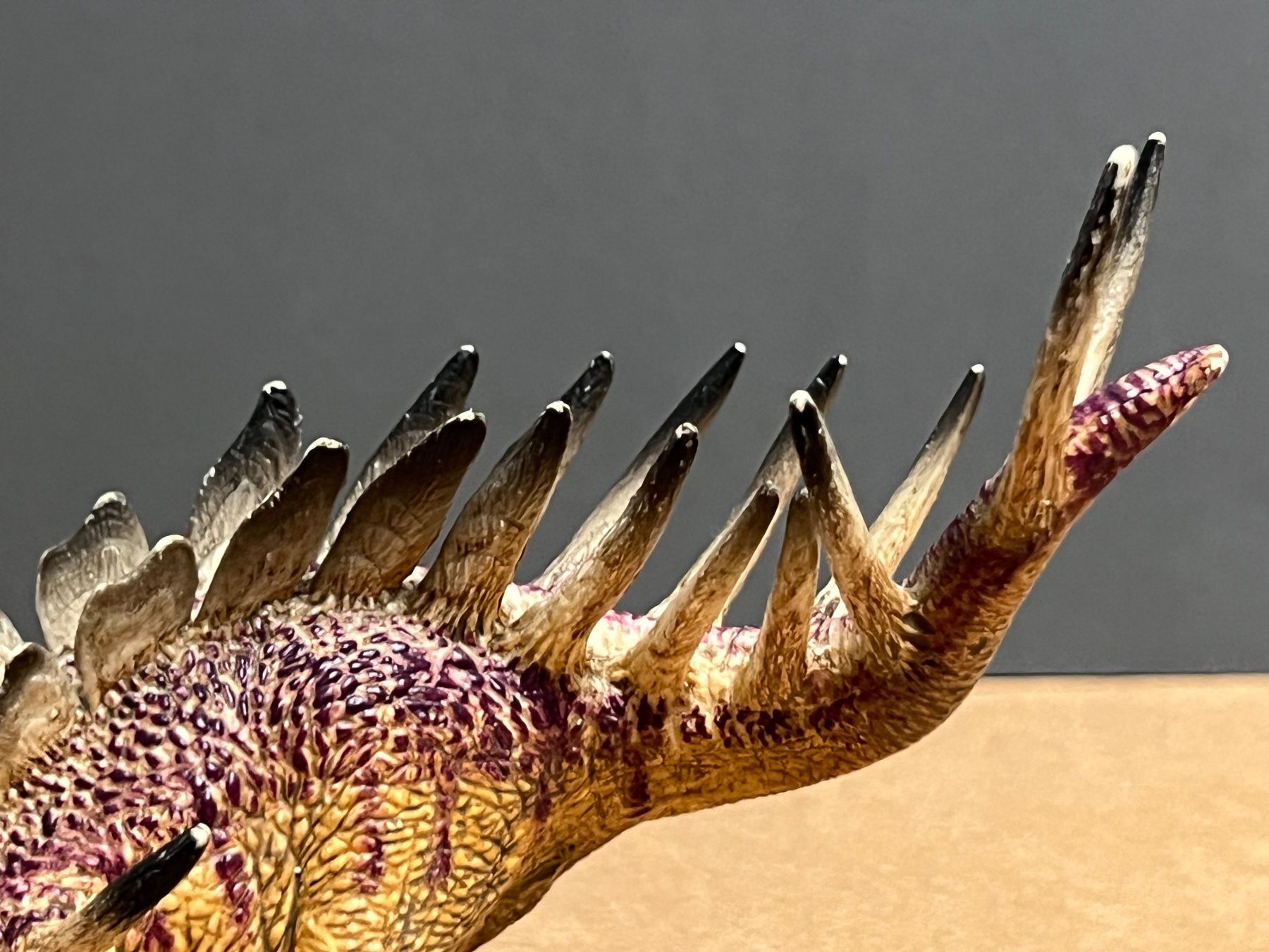 Schleich Statuette: Schleich 14541 Kentrosaurus Dinosaurier Dino – Usato da Ennetbaden venduto da mapa05 5