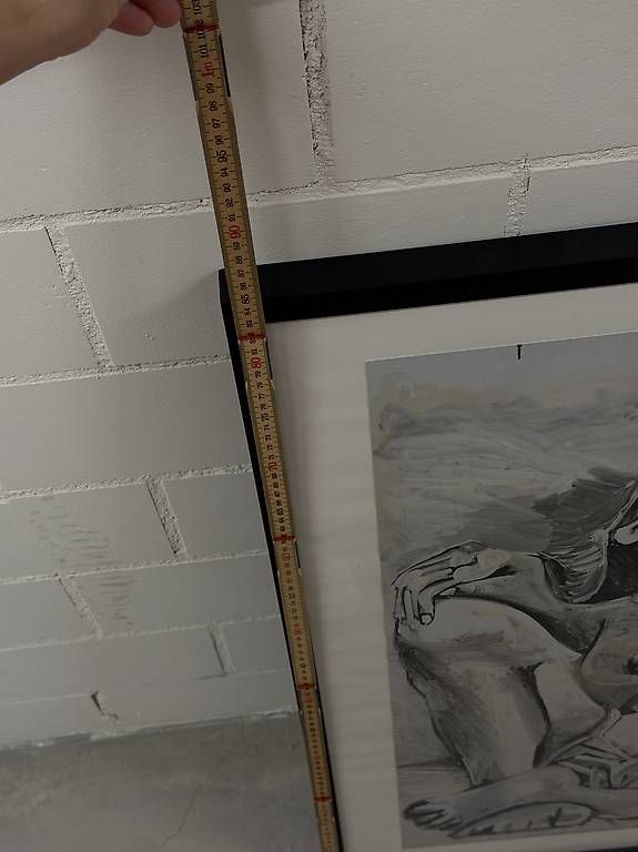 Foto & Immagini: Pablo Picasso Museumsprint mit Rahmen – Usato da Frauenfeld venduto da Jessy_kardakova 1