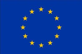 Flagge Fahne EU Europäische Union 90x150cm