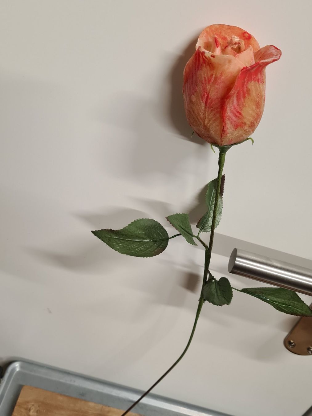 Candele: KERZEN- Langstiel Rose – Nuovo (secondo la descrizione) da Amriswil venduto da used2use