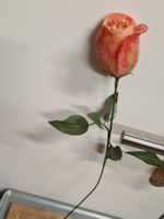KERZEN- Langstiel Rose