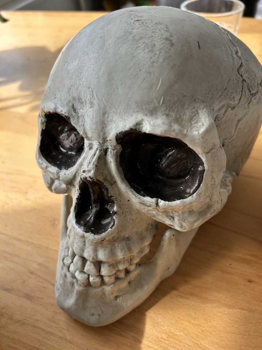 Alle Dekorationen: Skull, Schädel, Totenkopf – Gebraucht aus Zürich von kasifa 7