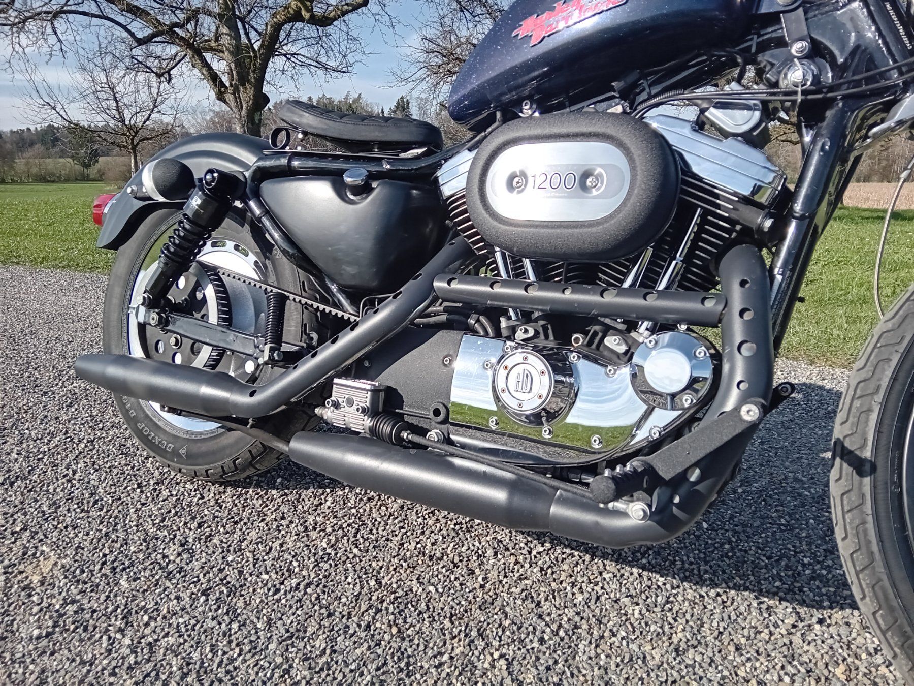 Chopper: Harley Davidson Sportster XL1200C – Usato da Langrickenbach venduto da matchless666 8