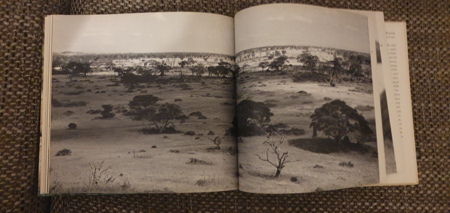 Libri: Afrika – Usato da Langnau am Albis venduto da jer_pm72 6