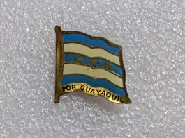 Ansteckpin 253: Flagge