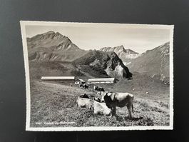 AK SG Valätsch, Alp Weisstannen (Mels)