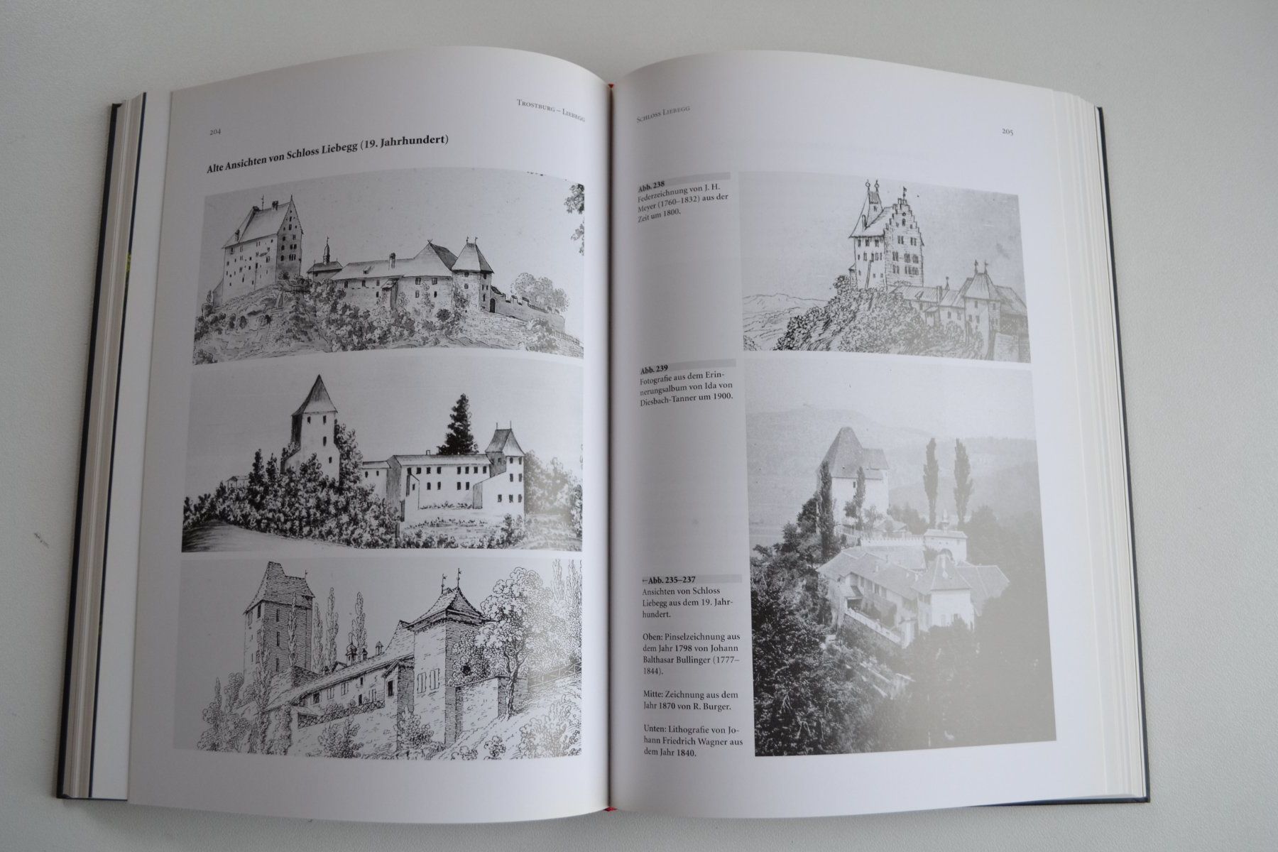 Libri: Chronik Liebegg und Trostburg – Usato da Beinwil am See venduto da kajak55 7