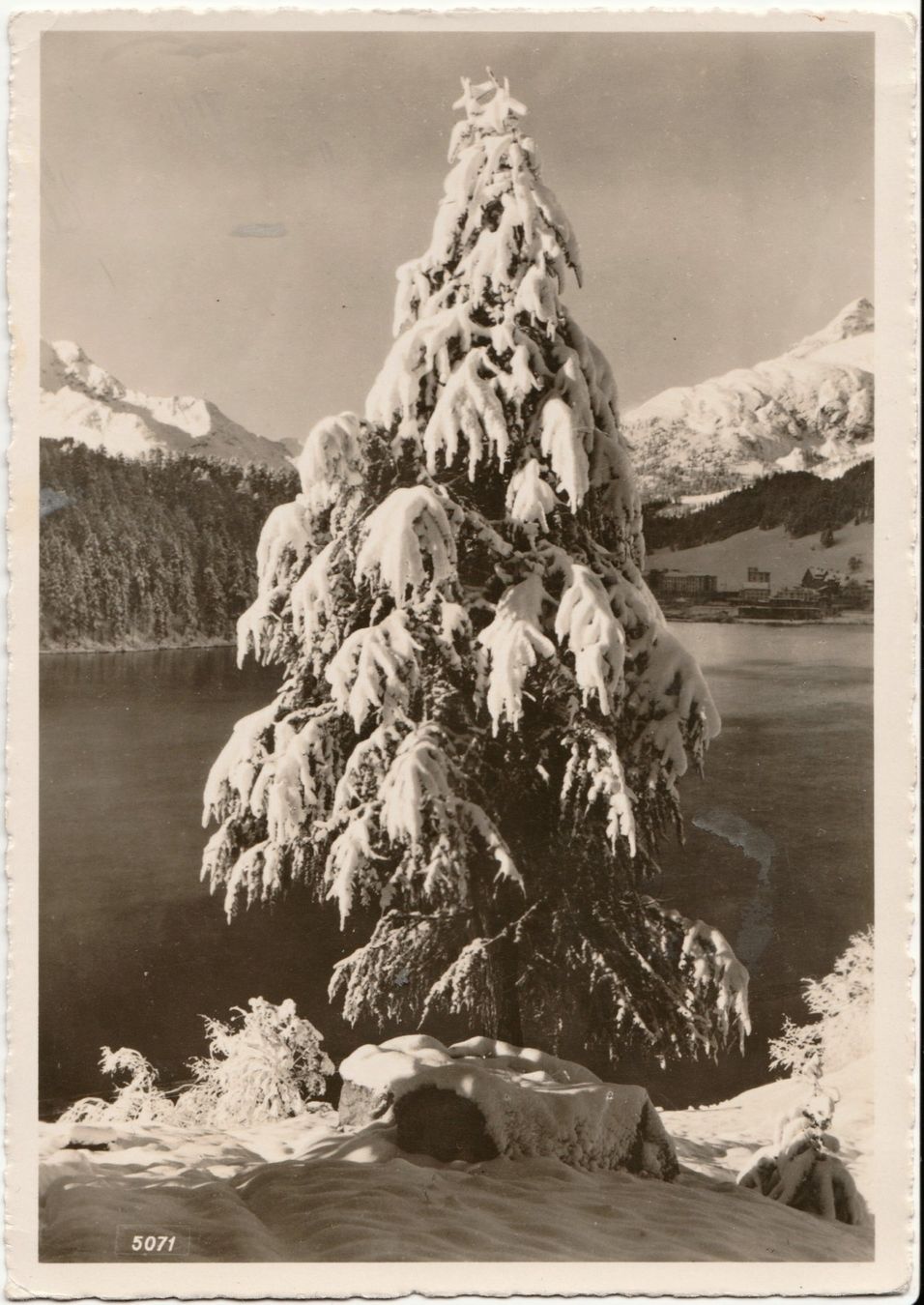 Cartes postales: Albert Steiner, Winterlandschaft  - (1932) – Défectueux à Fällanden par Blausegelfliege 1