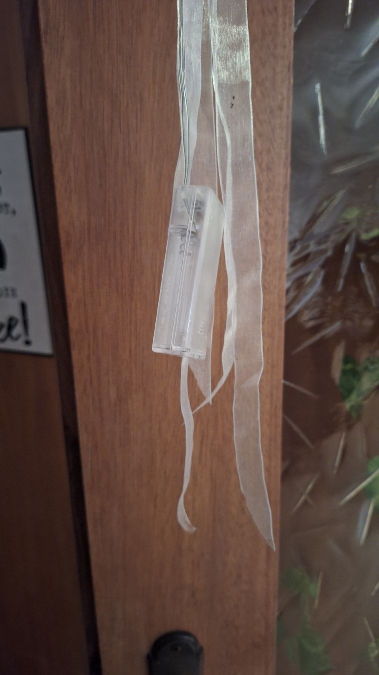 Tutte le decorazioni: Deko Leuchtkugel – Usato da Wanzwil venduto da chlinih93 2