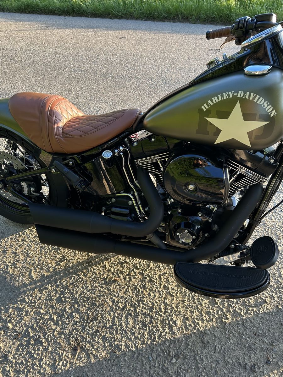 Harley-Davidson Chopper: Harley Davidson FLSS Softail custom – Usato da Rolle venduto da misterarti 4