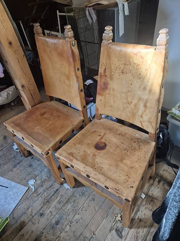 Chaises: 4 Stühle  – D'occasion à Wängi par Markussteffen 1