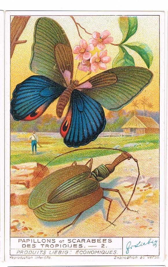 Grafica & Litografie: Cartes publicitaires - Chromo – Usato da Genève venduto da edelweiss1900 2