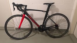 Specialized Rennrad