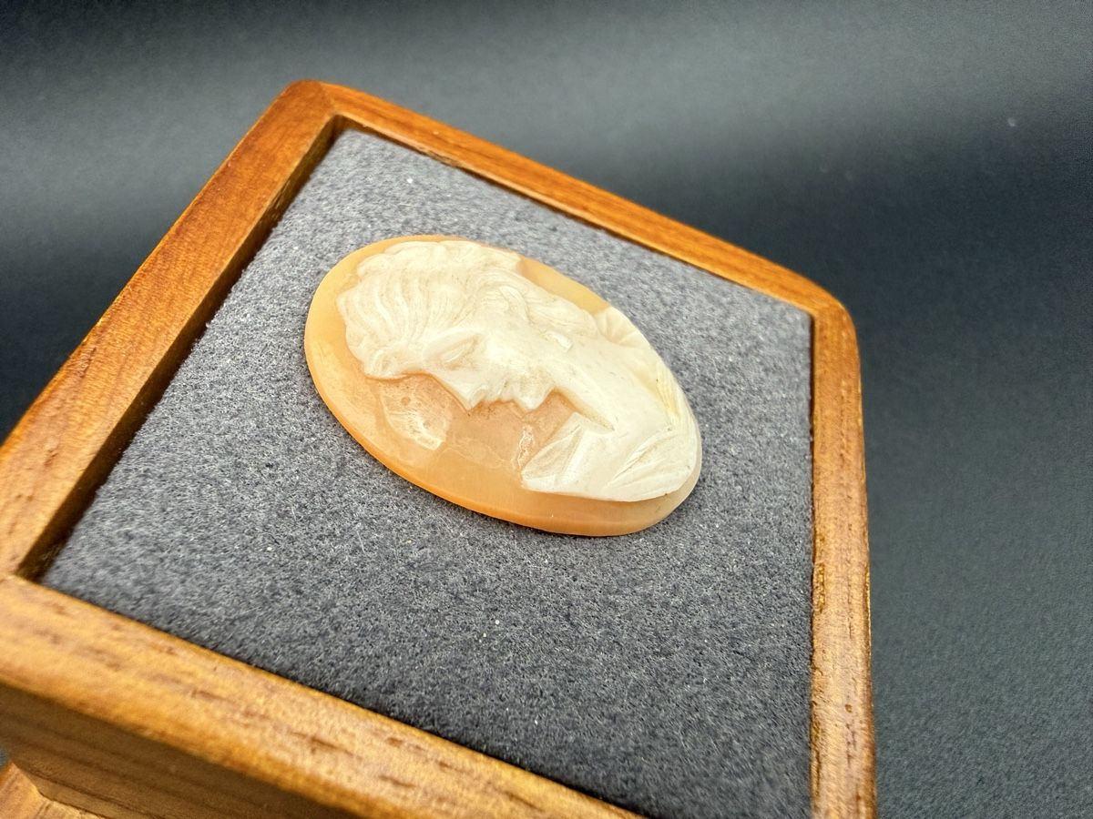 Sculture & Statue: Antiker Cameo mit Frauenprofil – Usato da Lamone venduto da LaCantinaMagica 2