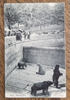 Bärengraben, Zuschauer, 1904 n. Frankreich