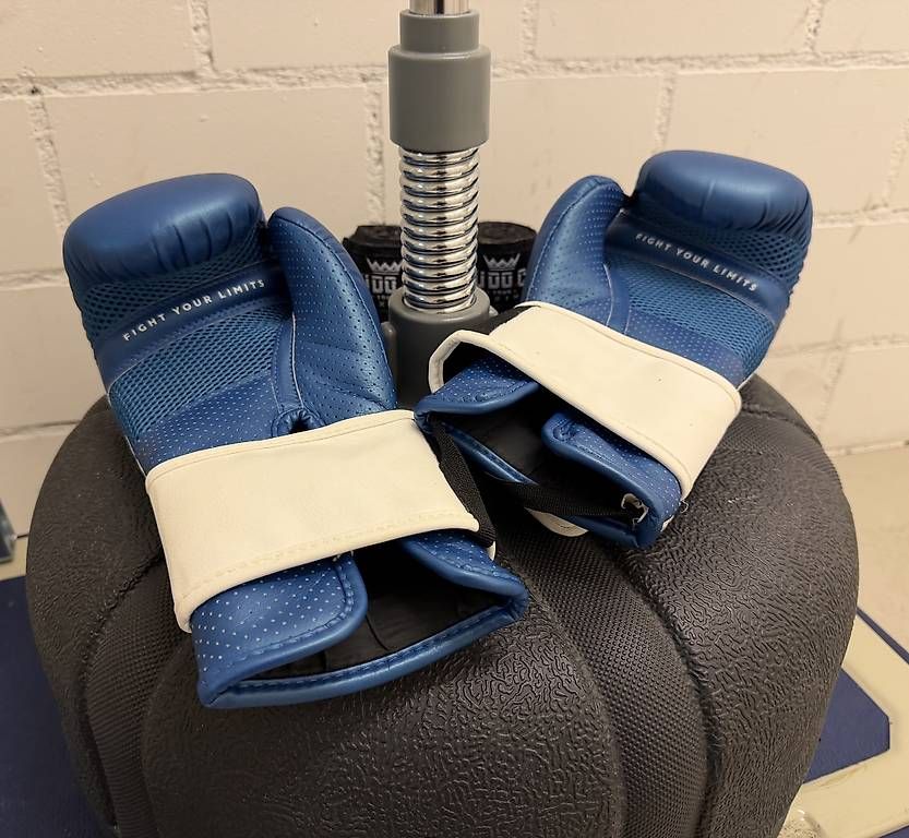 Sacs de frappe:  Boxer Birne mit Boxhandschuhen – D'occasion à Zuzwil SG par Toronto911 2