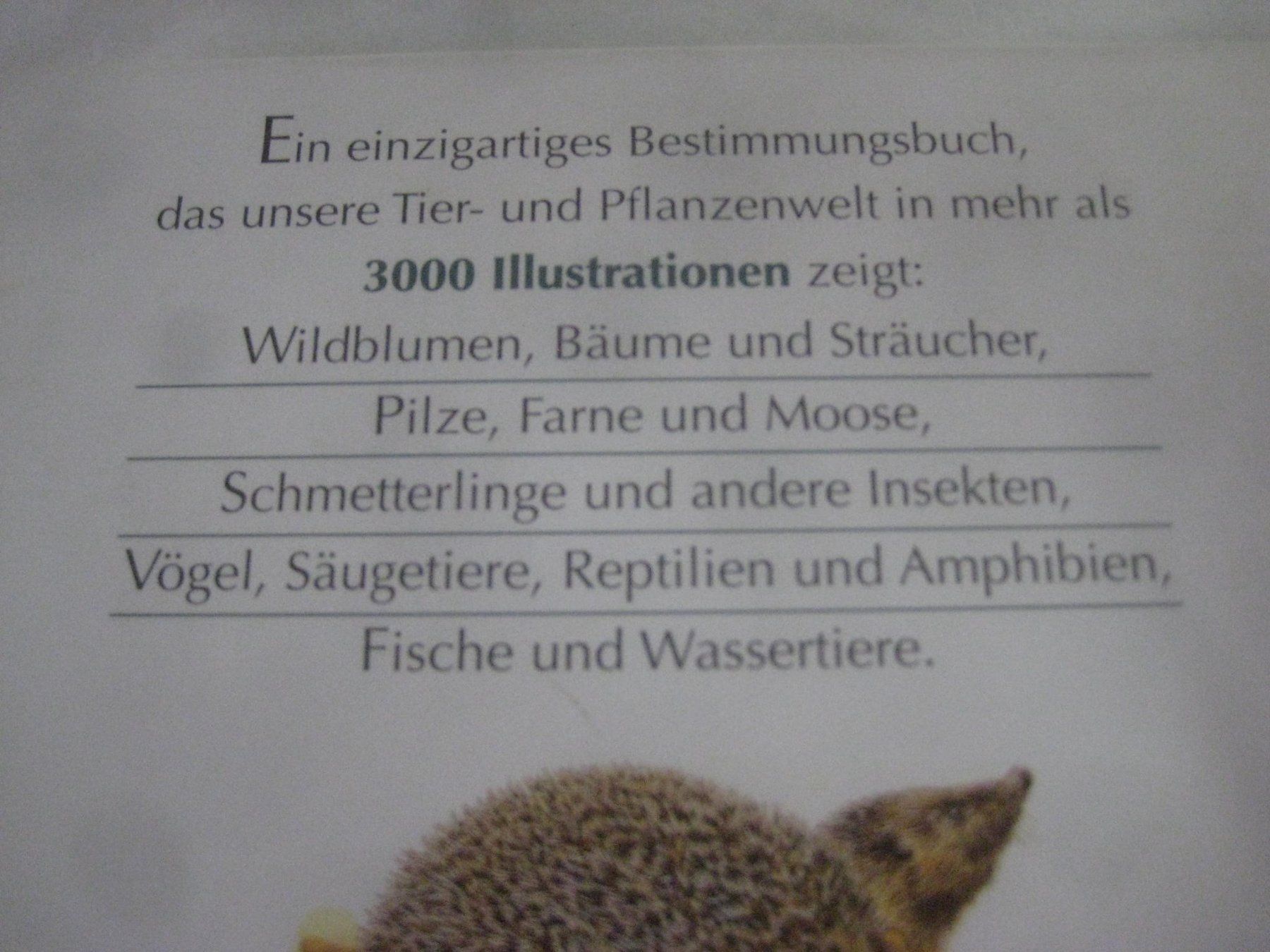 Bücher: BUCH   WEGWEISER DURCH DIE NATUR – Neu (gemäss Beschreibung) aus Uster von flocke1 3