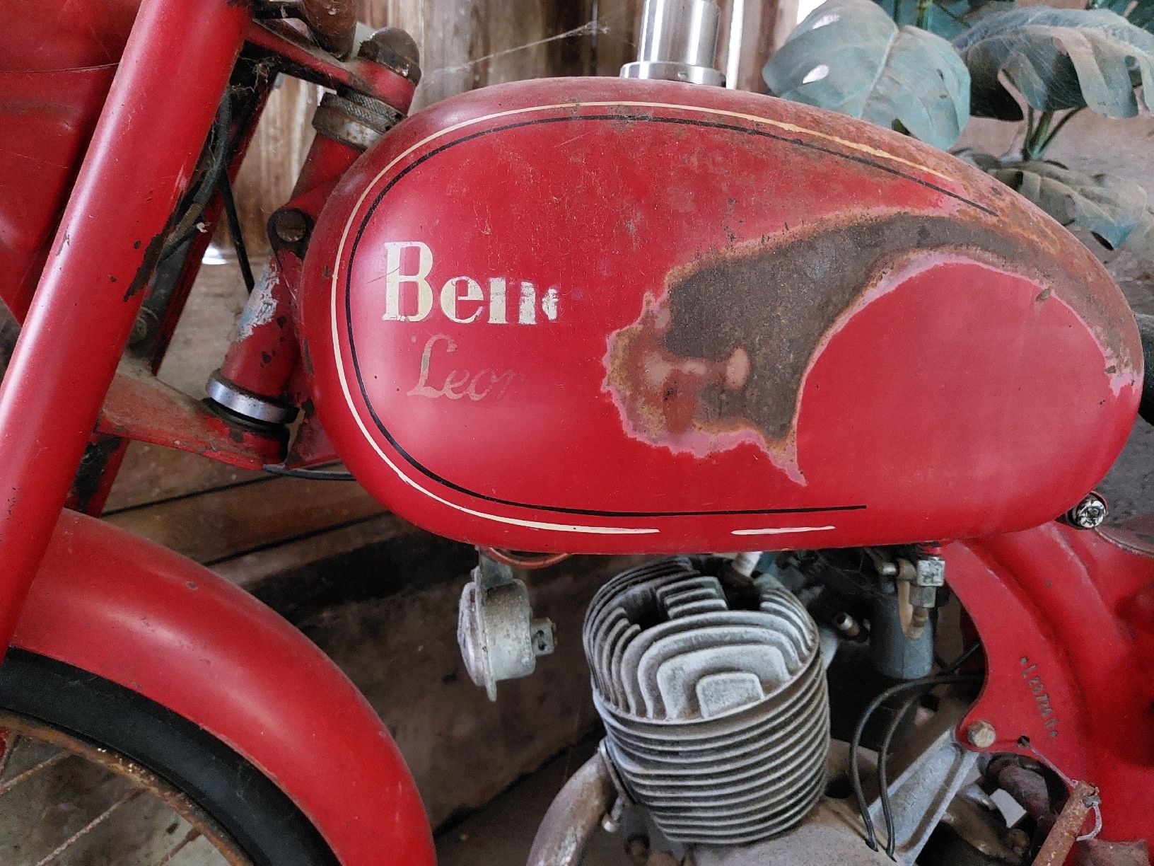 Benelli Altro: Benelli Leoncino 1956.  – Difettoso da Willisau venduto da Pzm81 3