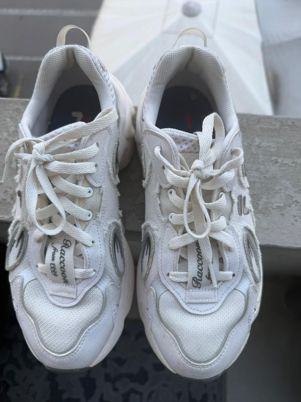 Scarpe da uomo: Raccoon from 1999 – Usato da Schlieren venduto da ela_kpw6 1