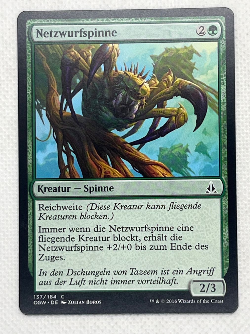Magic The Gathering Carte collezionabili: Magic the Gathering: Netzwurfspinne, Common, near mint! – Usato da Hinterkappelen venduto da Kim1992