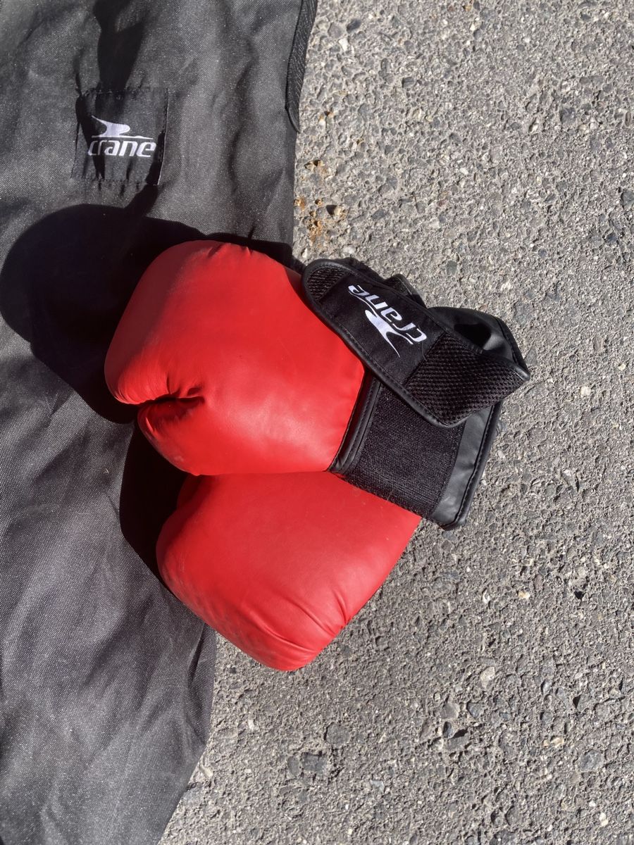 Boxsäcke: Boxsack mit Handschuhen – Gebraucht aus Lenzerheide/Lai von 4745karins 1